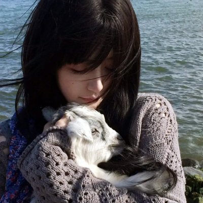 大明按察使后传